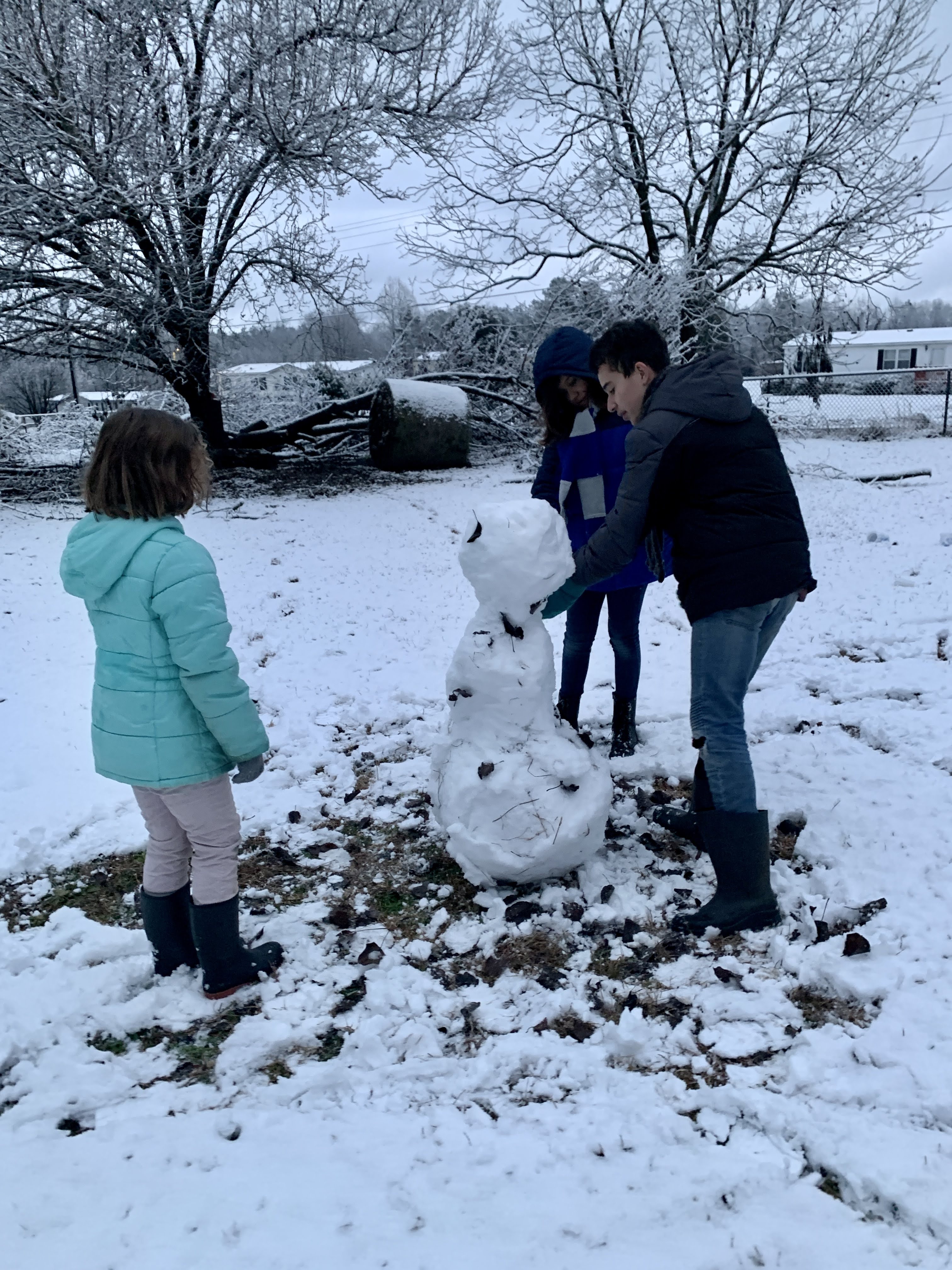 Snow Day